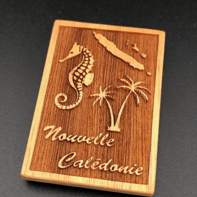 Magnet "hippocampe et cocotier" en bois calédonien