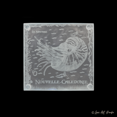 Dessous de verre en verre "Nautile"