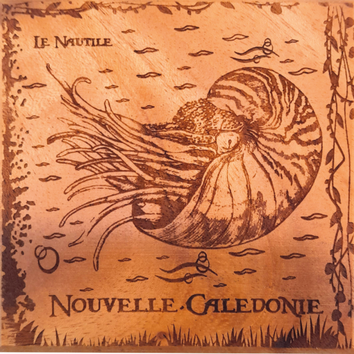 Dessous de verre en bois "Nautile" - Laser Art Pacific