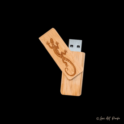 Clés USB "Margouillat"