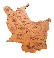 Cartes Nouvelle-Calédonie "Maré : H 18 cm" – Laser Art Pacific