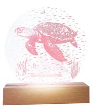 Supports Lumineux "Tortue" – Laser Art Pacific