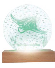 Supports Lumineux "Raie manta" – Laser Art Pacific