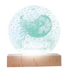 Supports Lumineux "Nautile" – Laser Art Pacific