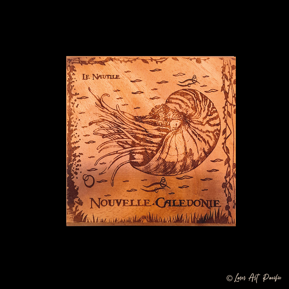 Dessous de verre en bois "Nautile"